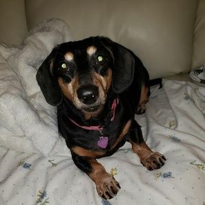 Meet your Posher, Jackie